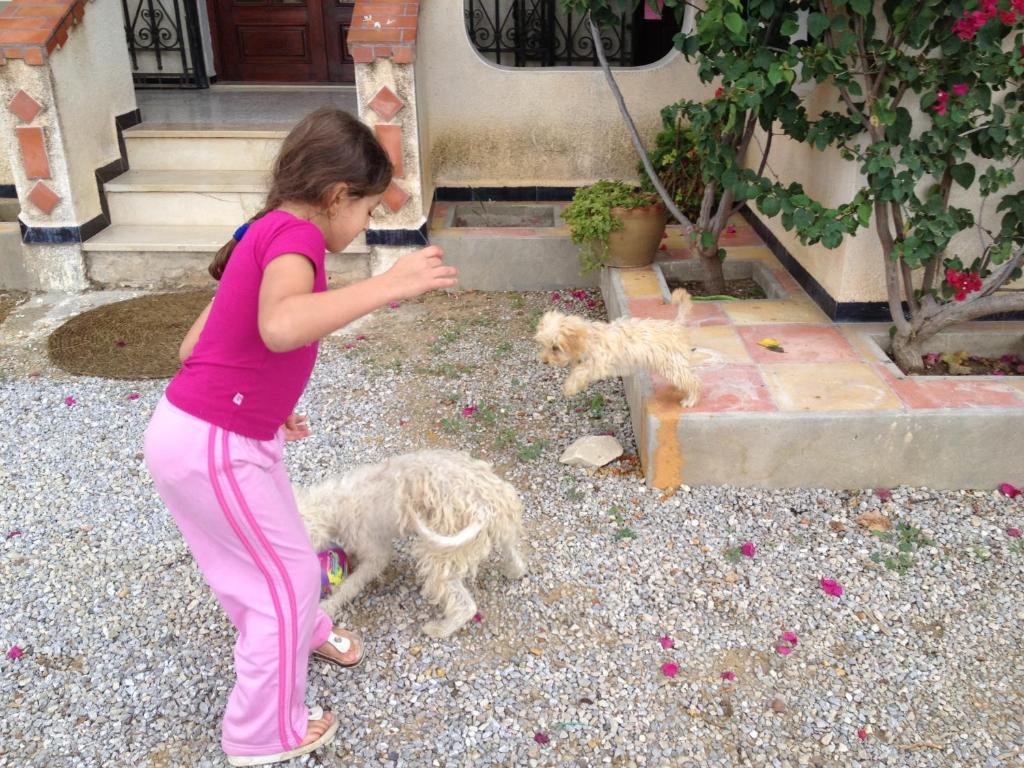 Dar Salima Bed & Breakfast Tunis Exterior photo